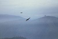 Природа Непала