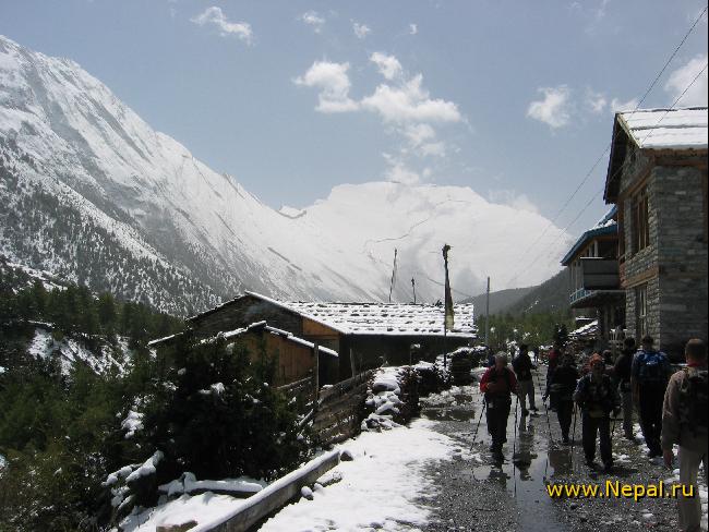 ������� � ��������