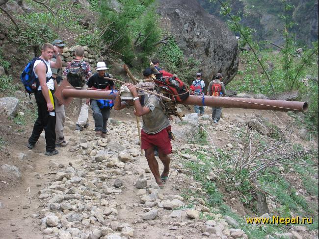 ������ ���� ������