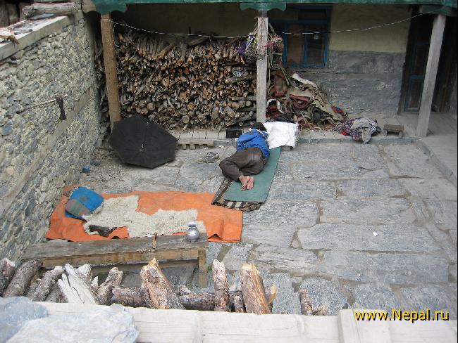 ������������ ������