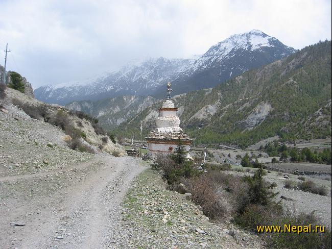 ����� � �����