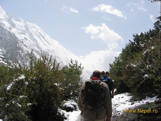 �������