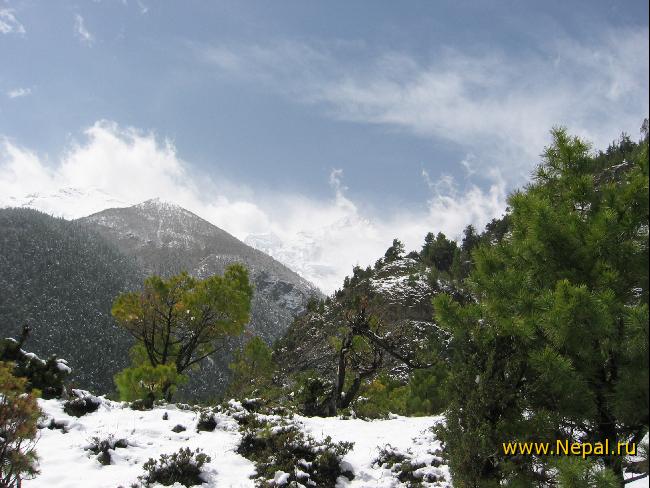 �������