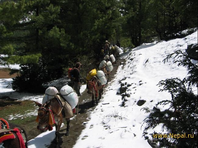 ������� � �����