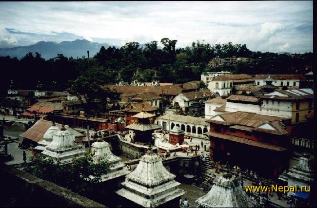 ������������