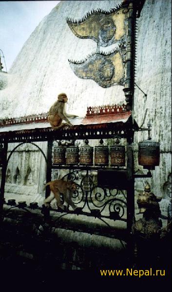 ��������� ��������� �����������.