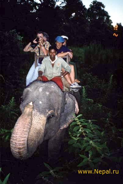 ���� � ����������� ������������ ����� �������.