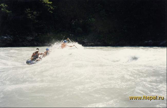 ������ ������