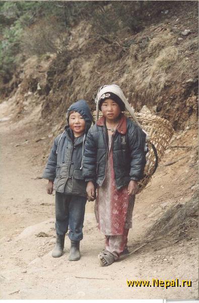 ��������� �����