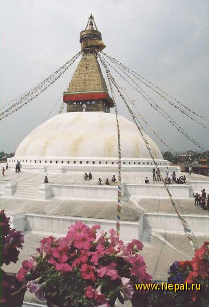 ����� �������,