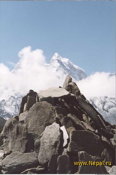 ������ �����