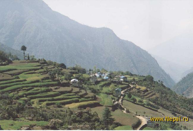 ����������� �������