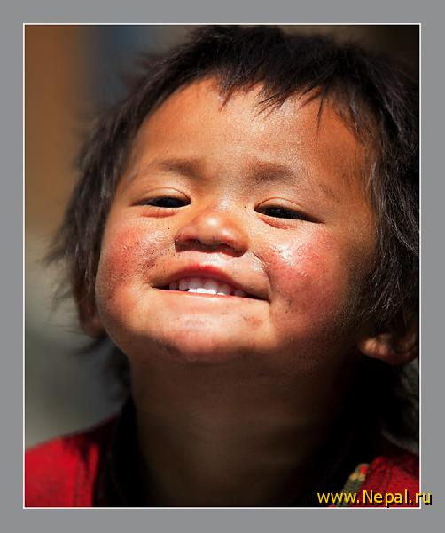 ���������  �������