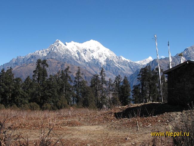 ��� �� ������� �������� ������ �� ��������� ��������