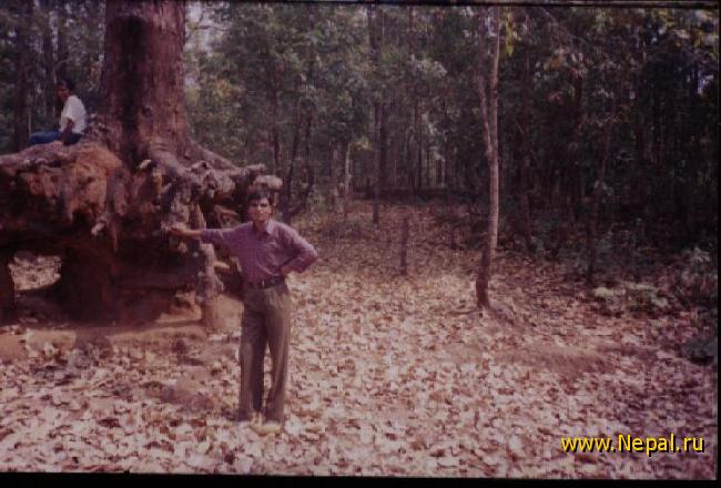 �����. Dharan (Nepal)