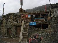 "���������"1* ����� �������