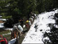 ������� � �����