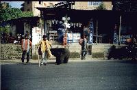 � ��������-� ��������