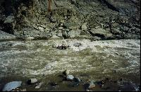 ������ ����� ����