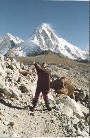 �� ���� �� �������!