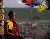 �����������  �  �����